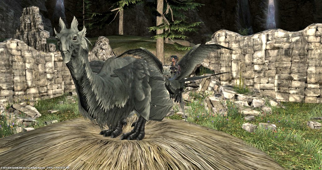 SIX_Queen_ff14's tweet photo. わああ！アマロゲットできましたー！
やりたかった撮影もできまして！
ノルヴラントのエーテライトがちょうど17ヶ所で「やるしかねぇ！」ってなりましてw(青魔は忘れるんや)
レベリングにお付き合いくださったフレンド皆様に感謝を！！！ https://t.co/srVPHLciEz