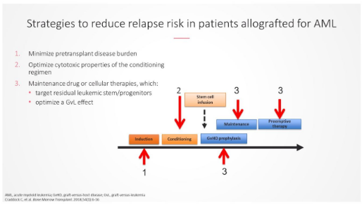 AML_Hub's tweet photo. #AMLHubSS | @charliecraddock, @unibirmingham, is showing the importance of MRD assessment post hematopoietic stem cell transplantation. #leusm #EBMT20Virtual https://t.co/rFLUm2yAsM