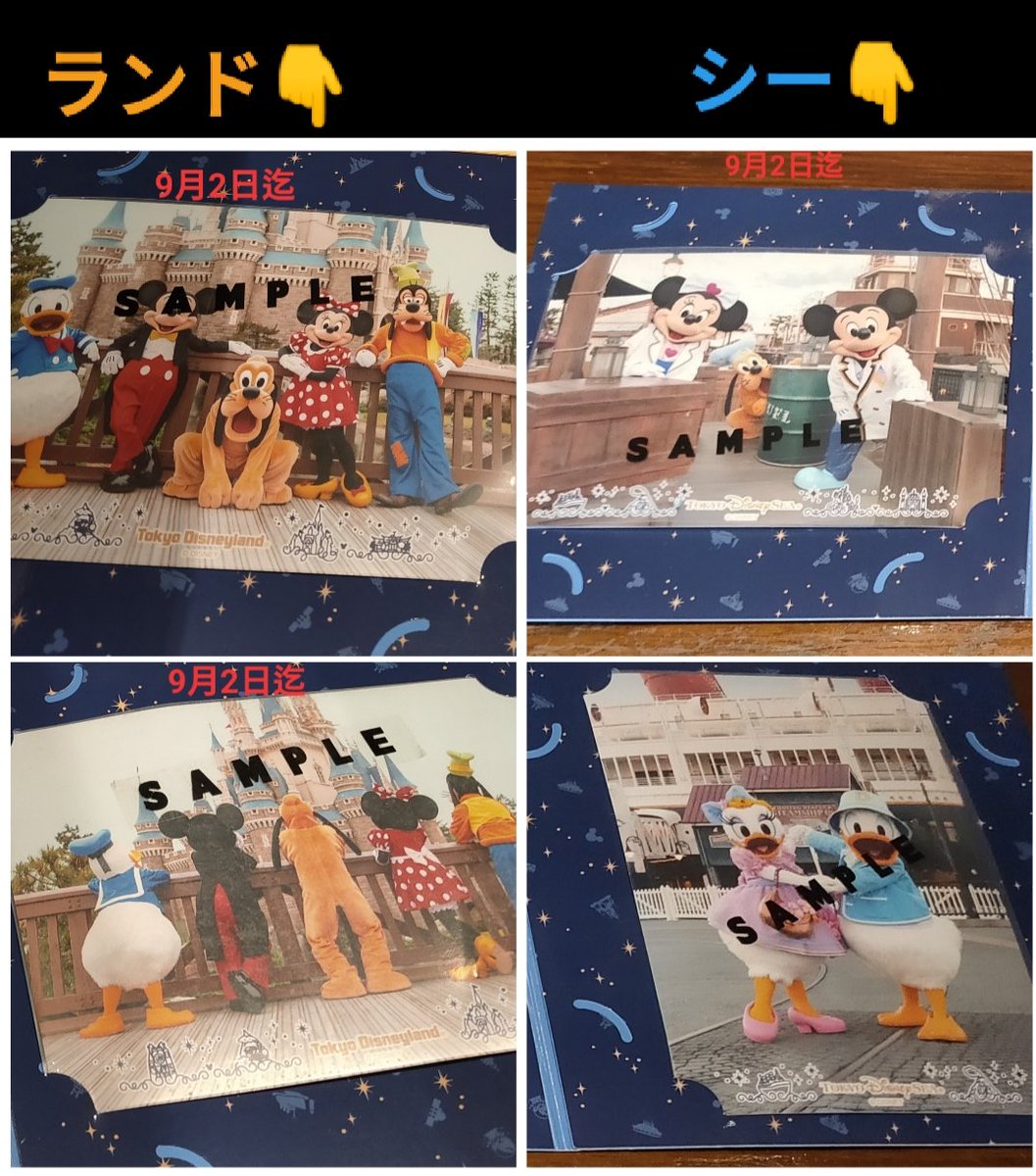 Tdr ディズニー ぷらん フォトファン 台紙 写真 9月切り替え レギュラー 2日迄 フォト ファン 1600円 ベリミニ うさピヨ イースター ファンタズミック 30日迄 デジタルフォト エキスプレス 3日 シー19周年 シー フォトグラフィカ ランド カメラ