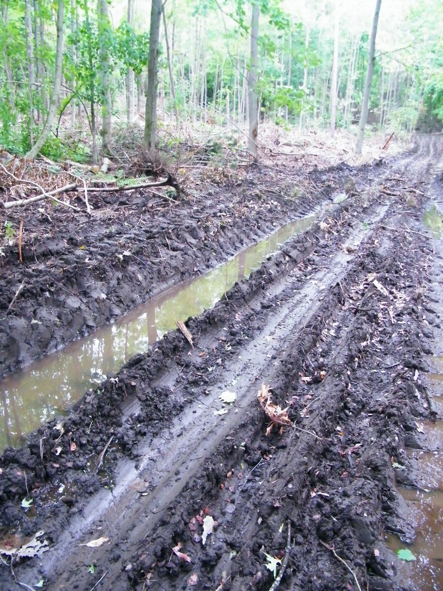  #GVRAT1000k day 121. Noticed that the loggers had moved on to another local forest & stopped by to see how it looked. They did a quite a good job of tidying up, though the ruts from the heavy equipment will take a while to heal. After & before pictures.  #ThisWillBeAThread 