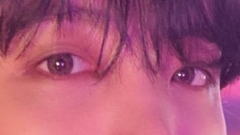 dapadapa_'s tweet photo. 진짜 눈이 너무 예쁘게 생겼어 호비 https://t.co/w41V0QVzPR