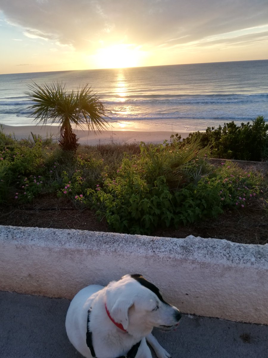 El amanecer de mi último día de vacaciones en Milpalmeras, Pilar de la Horadada.