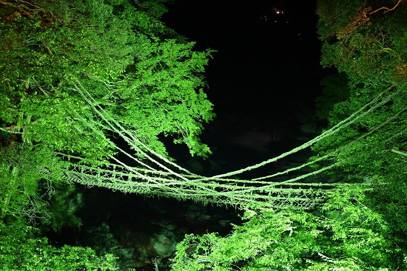 アキ 夜のライトアップされたかずら橋 どう見てもホラー映画のワンシーン