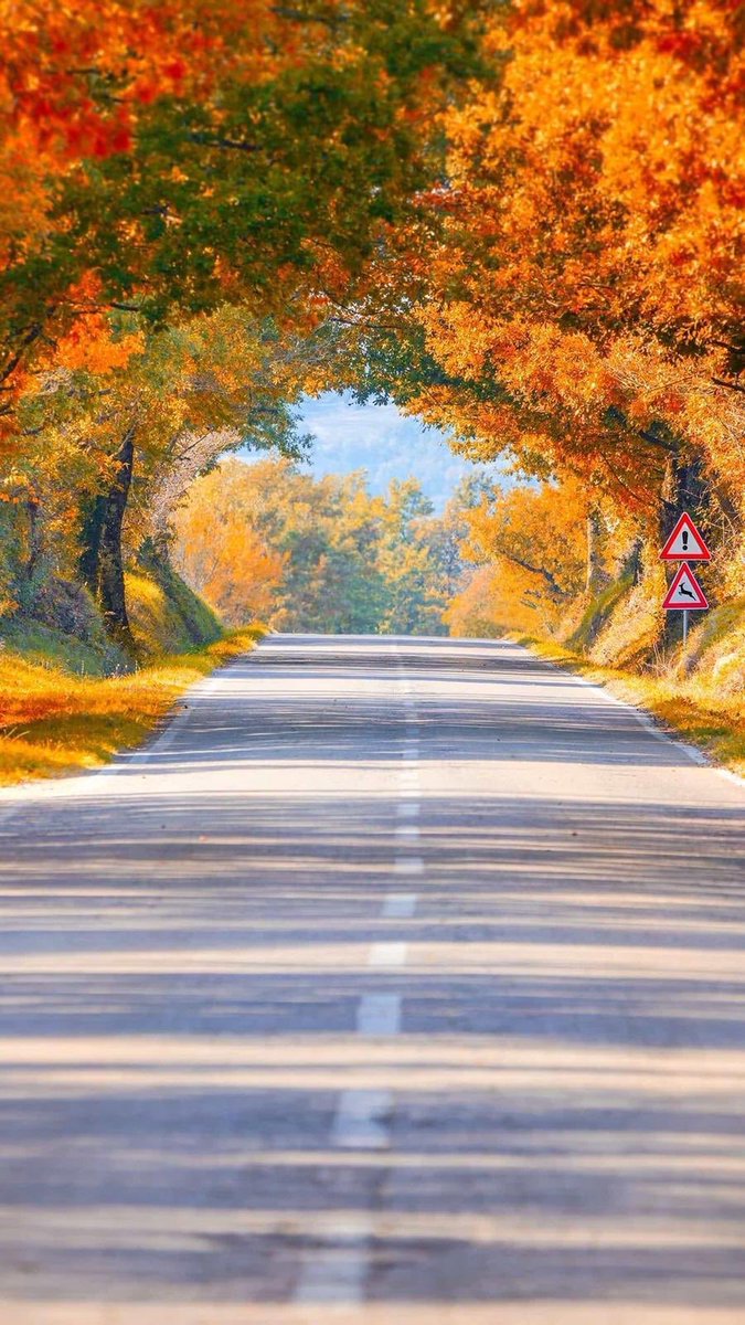 aydınlık yollara çıksın 
yollarımız