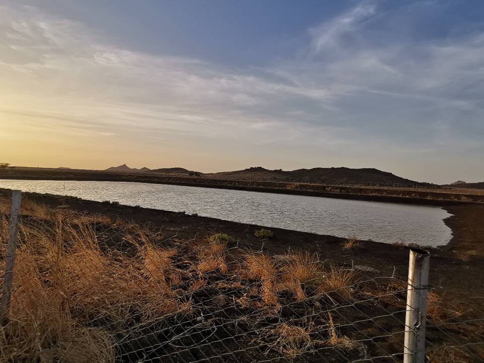 The European Union (EU) has always supported and encouraged the initiative of access of water to assist food security.

Learn about our 8 million Euros project implemented by ZOA and Aquoa4sudan:

eeas.europa.eu/delegations/su…