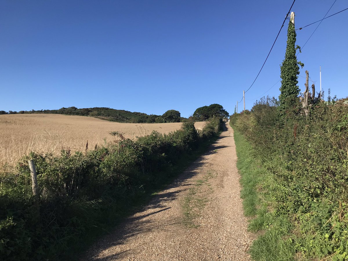 Zakitina_Lily's tweet photo. Lovely walk out to #Headonwarren this morning with @jaymar6665 and @MiliVizsla great start to the day #pureislandhappiness @VisitIOW https://t.co/neJE6rUT3k