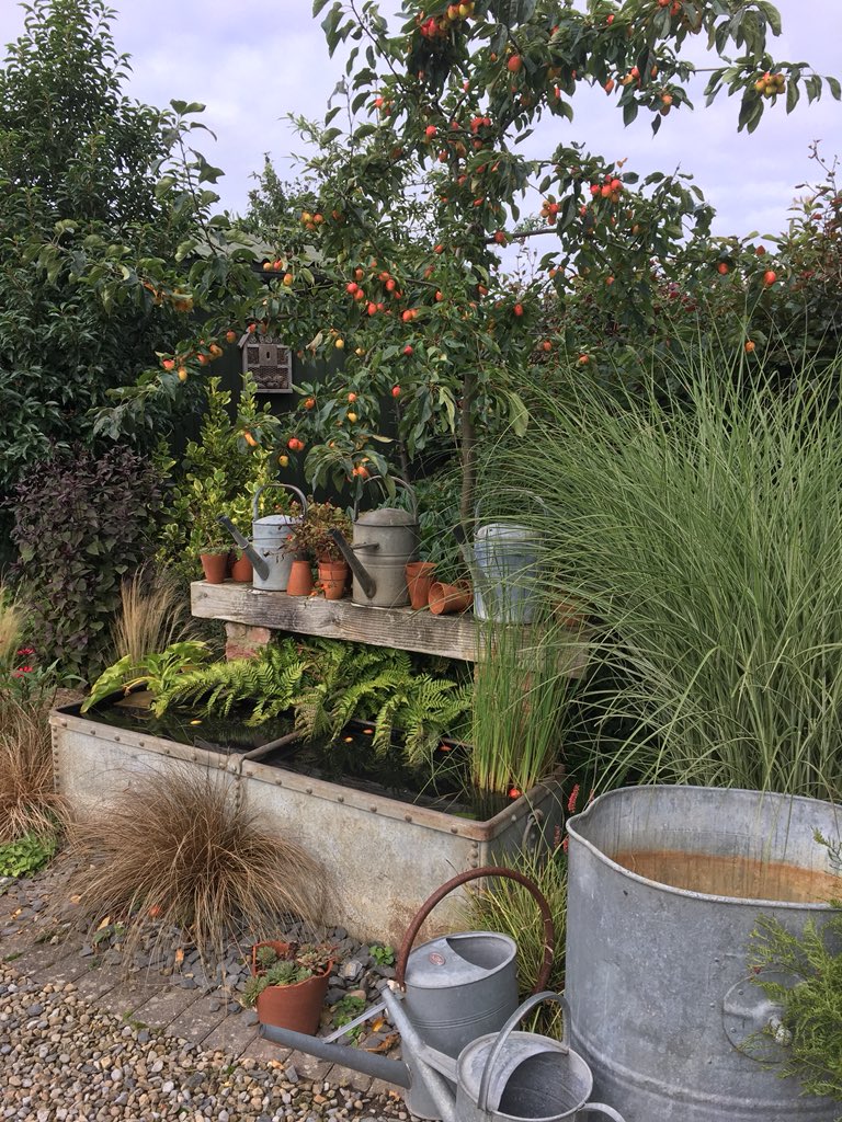 MartinFishHort's tweet photo. This morning’s view from my potting shed studio where I’m answering gardening questions live on @BBCYork with @Sarah_Urwin back at base in York. #gardening #Radio #crabapples https://t.co/2GM0Yc6lbh