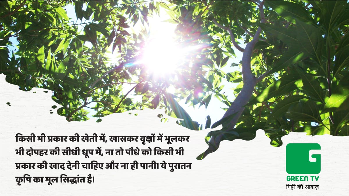 GreenTV_India's tweet photo. Do Follow @GreenTV_India To Get Regular Updates From #AgricultureKnowledgeBank
#GreenGyan : बागवानी करने का उचित समय ? सुबह १० बजे के पहले या शाम ४ बजे के बाद ।
#agricultureistherealculture
#AgriBloggers #agrigyan
#AgricultureIsTheFuture
@AgriGoI @rmai_tweet @mopr_goi https://t.co/H8jkFEG3uZ