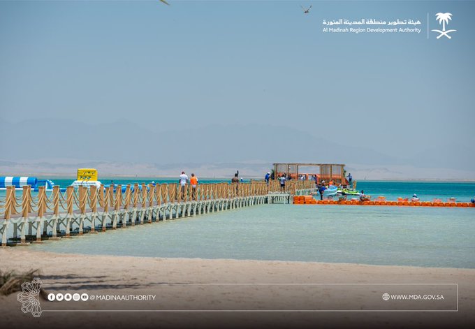 هيئة تطوير منطقة المدينة المنورة تستقبل أولى رحلات السفن السياحية. معلومات مباشر