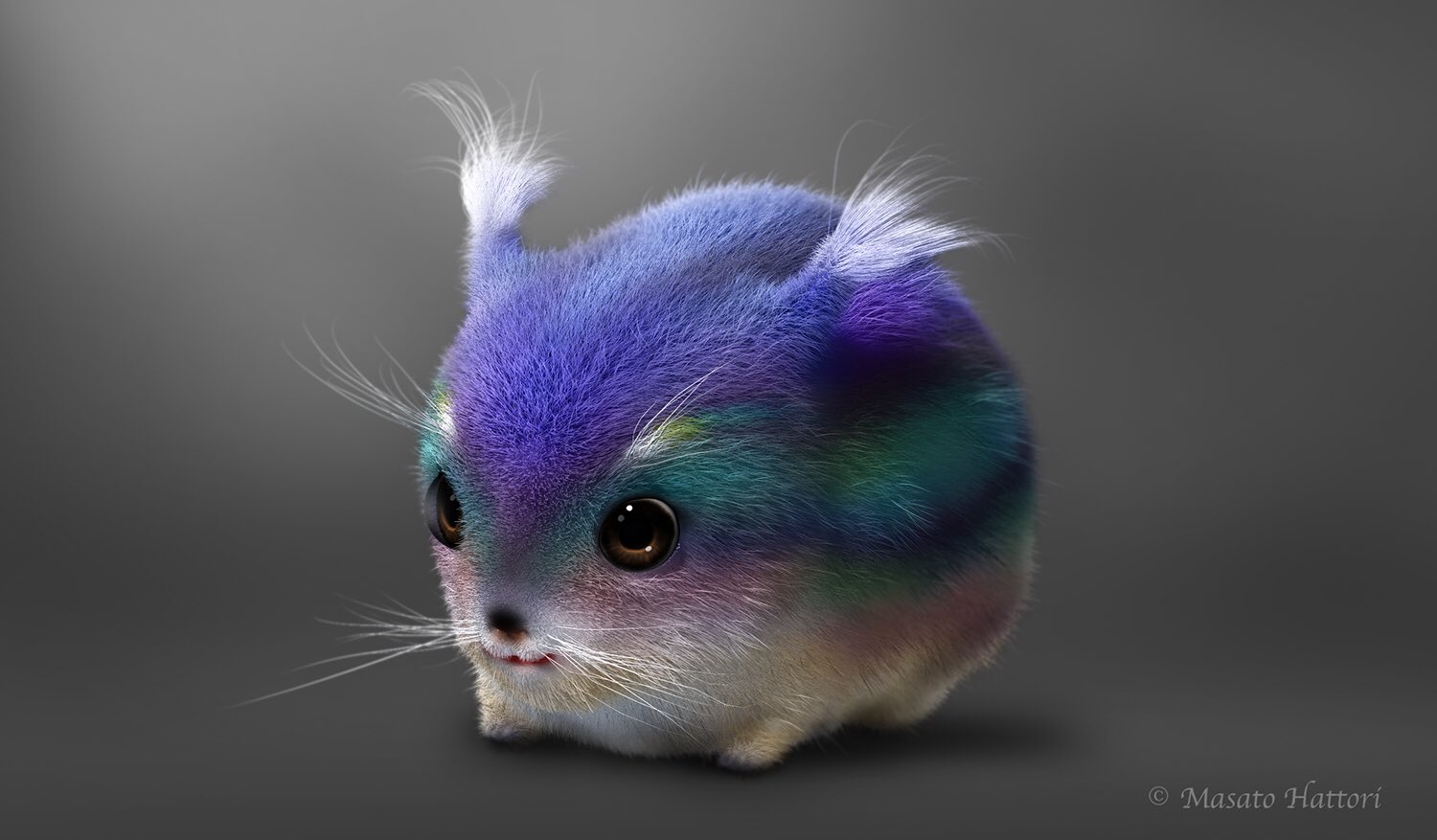 はとちゃん 可愛い動物 モフ 不思議な動物 癒し T Co Ira8gpqji4 Twitter