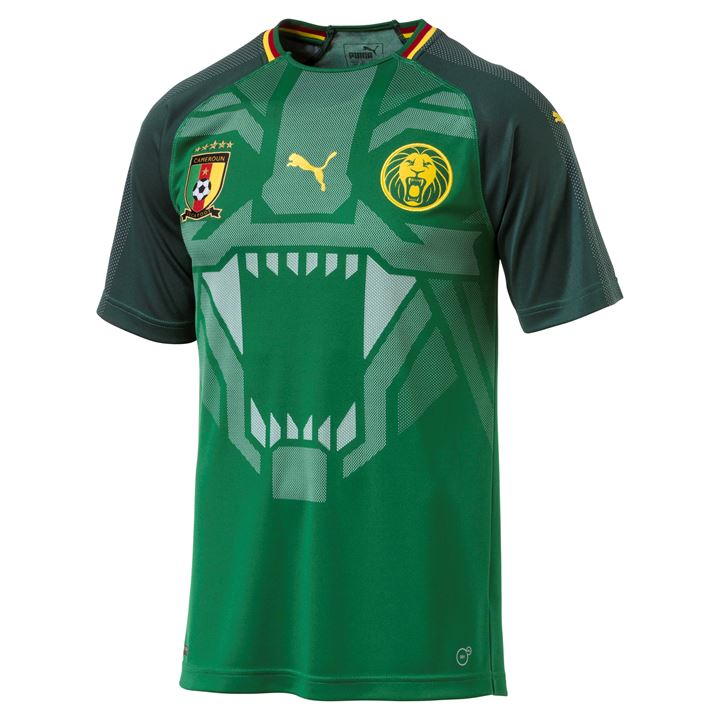 You can see that rather than just the subtle colours, there was a graphic of the leopard... something that I saw once with the Indomitable Lions shirt that had a lion