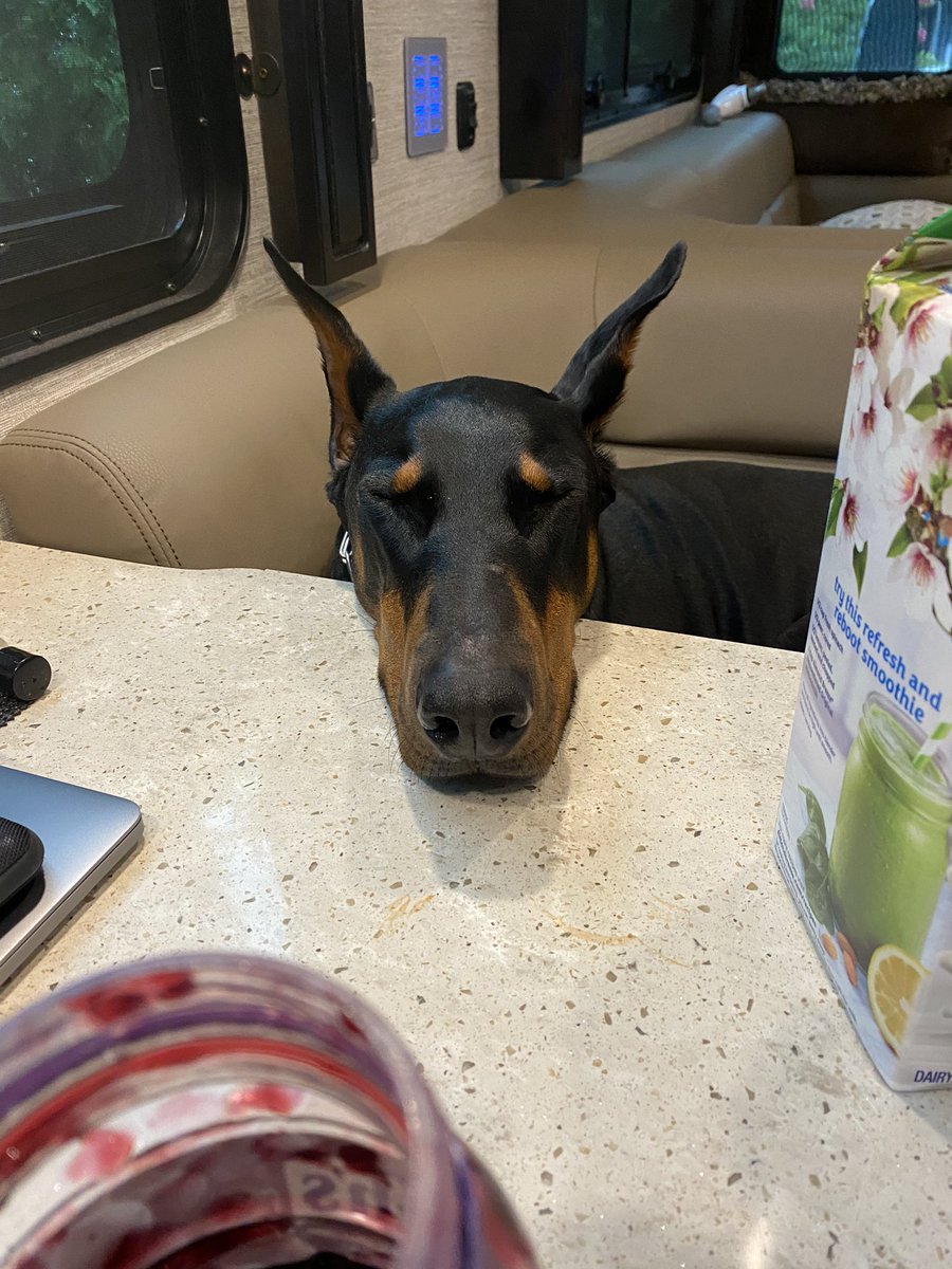 davidrayburn's tweet image. 