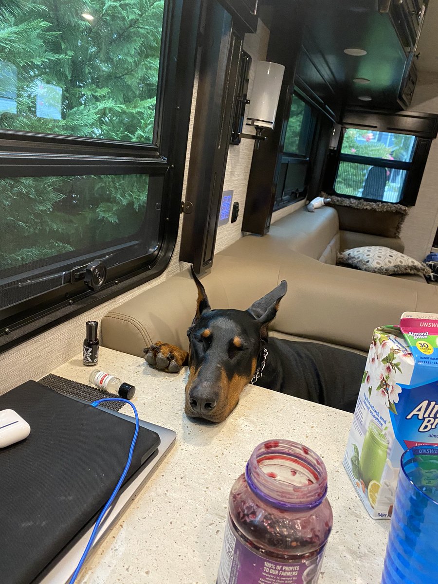 davidrayburn's tweet image. 