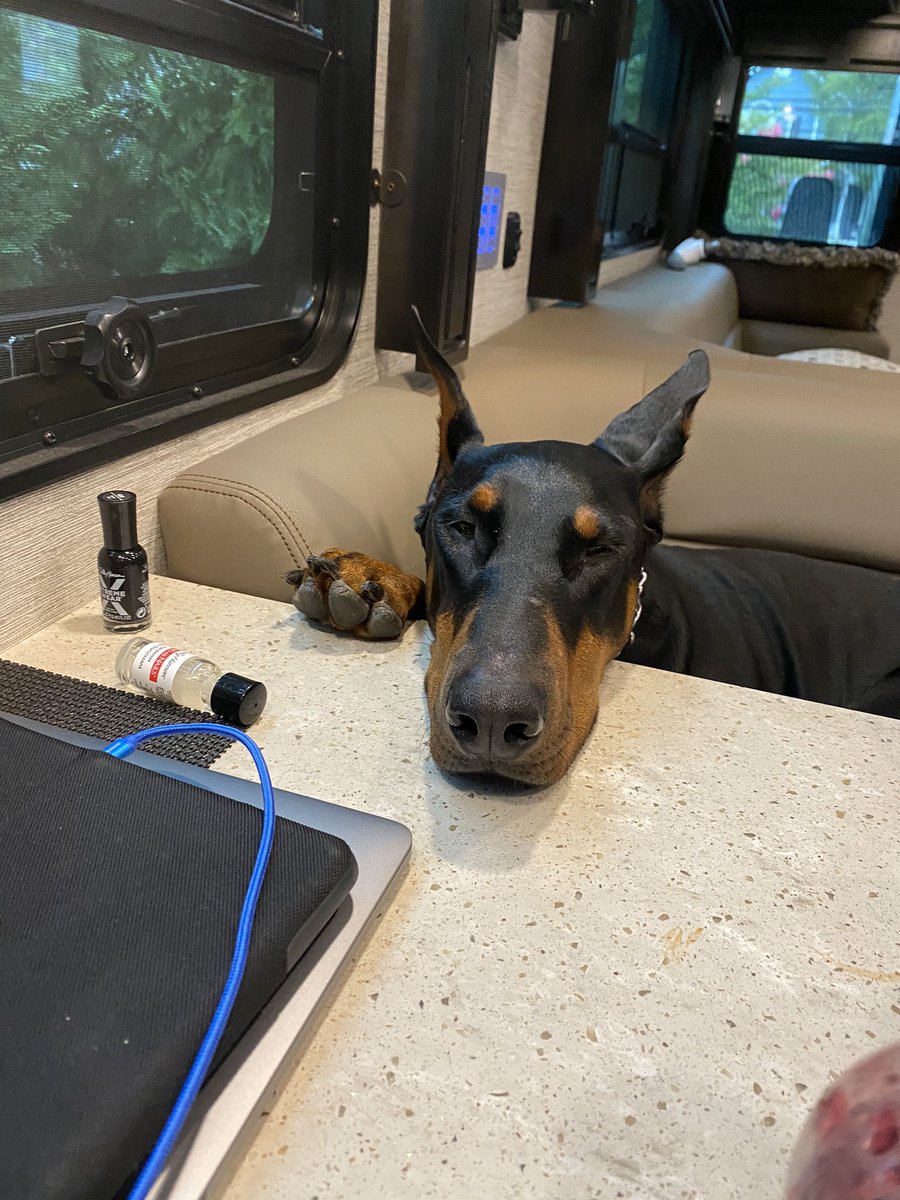 davidrayburn's tweet image. 