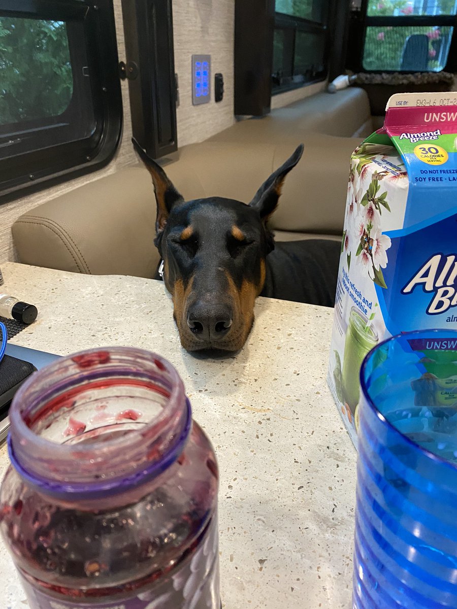 davidrayburn's tweet image. 