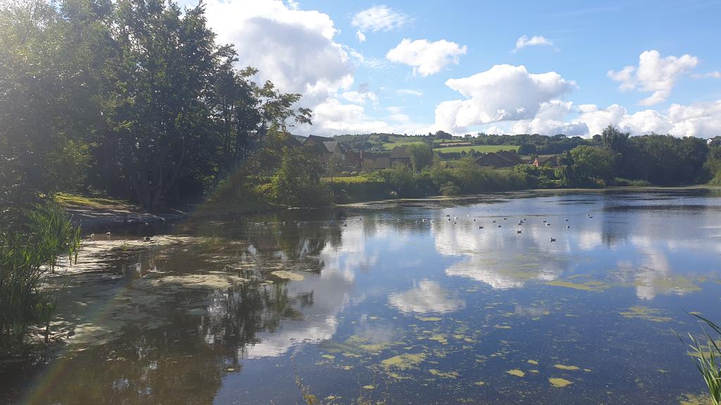 rhonkey's tweet photo. #Kiltonga #Newtownards https://t.co/5tlsEtOgo0