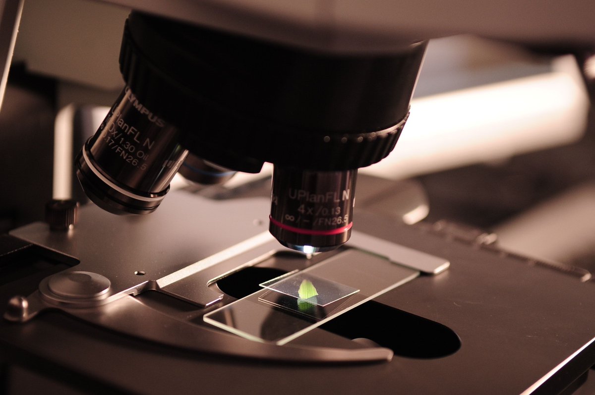 The poor reporting of imaging methods in the scientific literature is hindering the evaluation and replication of biomedical research elifesciences.org/articles/55133