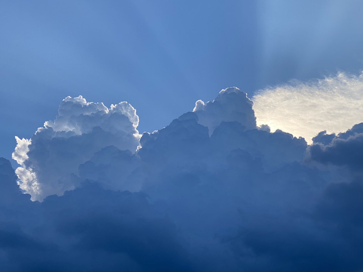 JunkJamProject's tweet image. そして、フレスポのところ、
いつもそらがきれいにみえるー
ときどき秋の気配を感じつつも、
もう少し夏(*´꒳`*)