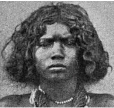 As for the risibly sorry misidentification of a generalised Dravidian physiognomy, it can only come from an amazing bit of innocence. Here's two images of the prototype, from colonial-era ethnography. It's something all of us all over India know as part of the deepest part of us.