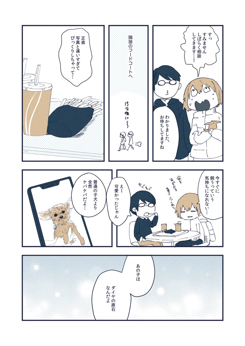 けぱけぱの子犬をお迎えした話(2/3) 