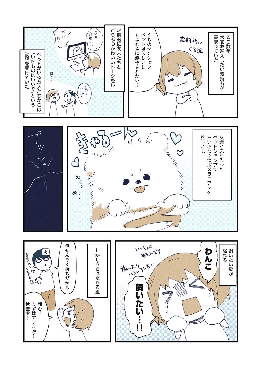 けぱけぱの子犬をお迎えした話(1/3) 