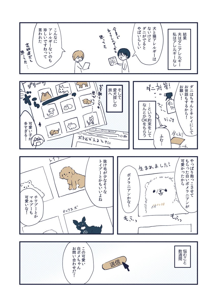 けぱけぱの子犬をお迎えした話(1/3) 