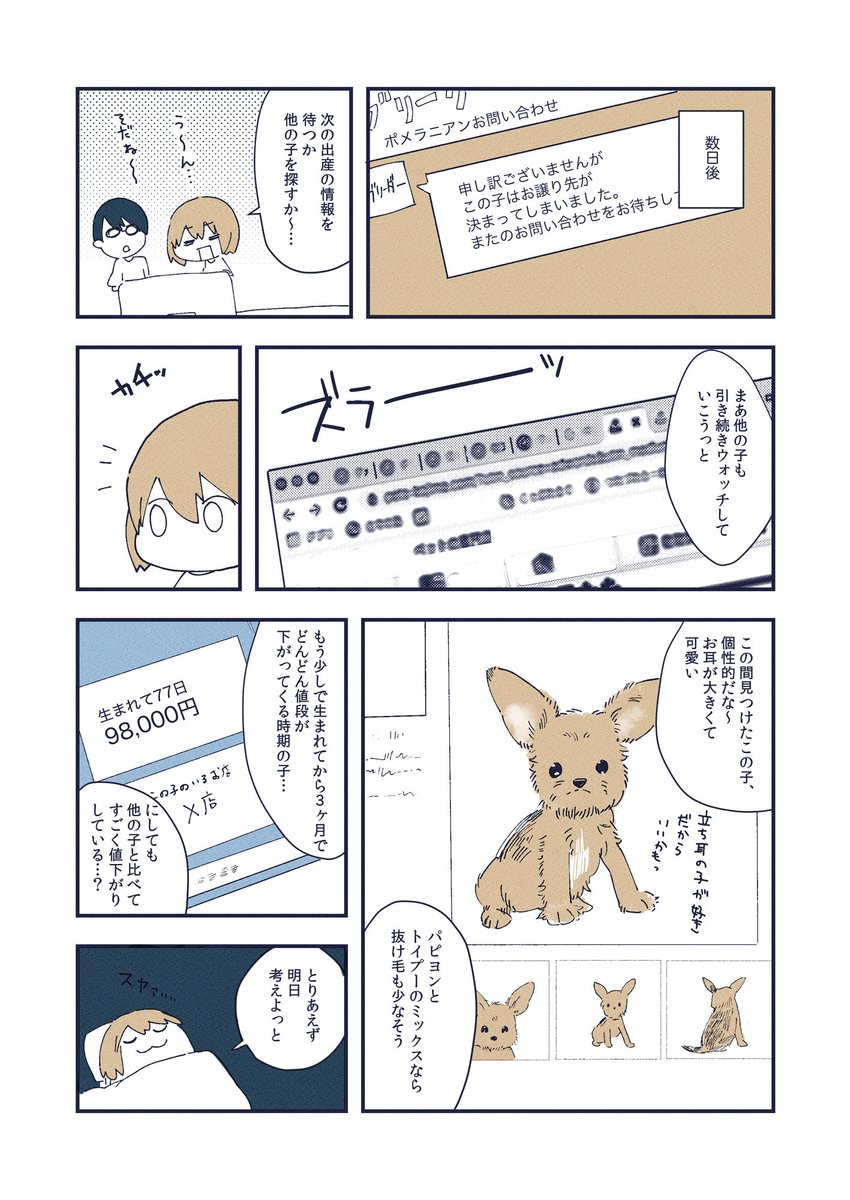 けぱけぱの子犬をお迎えした話(1/3) 