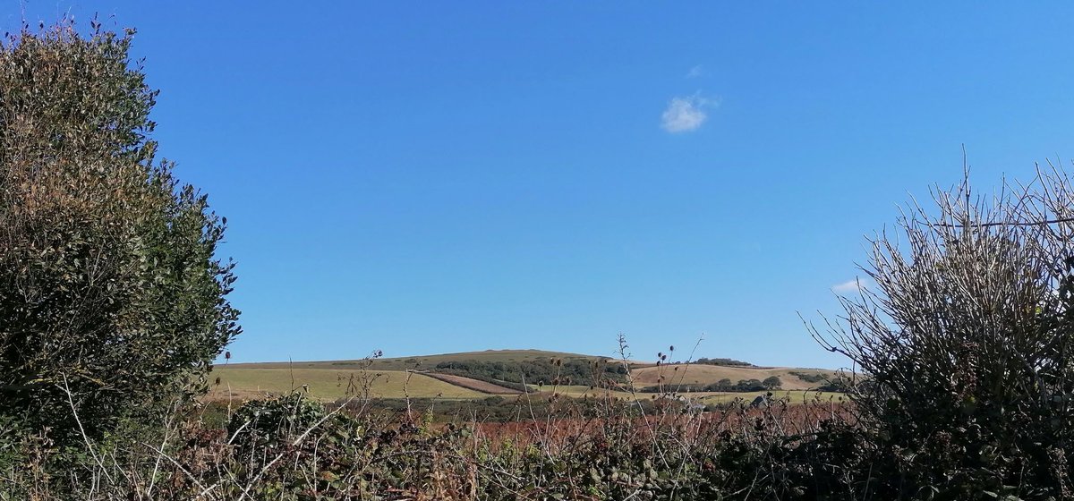 IOWarchaeology's tweet photo. A stunning morning in the West Wight; the Old Western Yar at Brook, #Mesolithic @IsleofWightNT, Five Barrows Brook Down, #BronzeAge @HistoricEngland #NHLE 1007804, and site of 1970 #IsleofWight Festival, happening #otd 50 years ago. 10,000 years of #IOW heritage https://t.co/47KbqLySMn