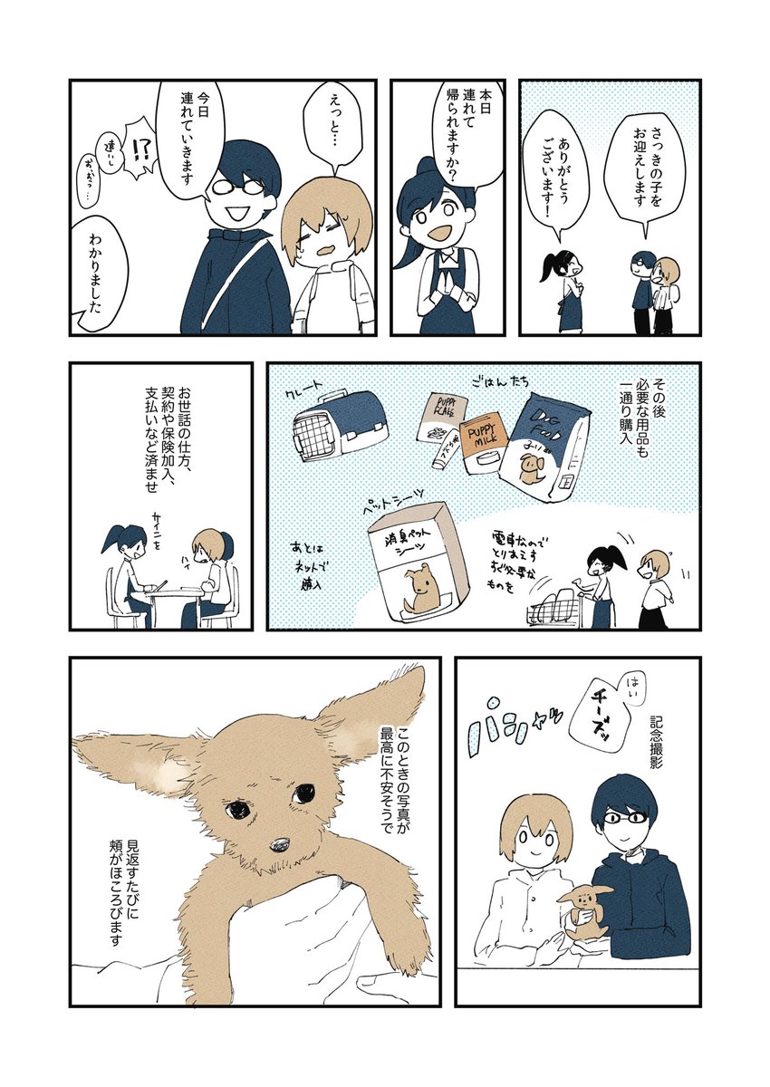 けぱけぱの子犬をお迎えした話(3/3) 