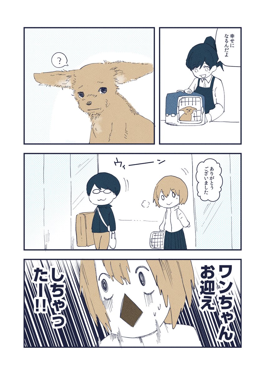 けぱけぱの子犬をお迎えした話(3/3) 