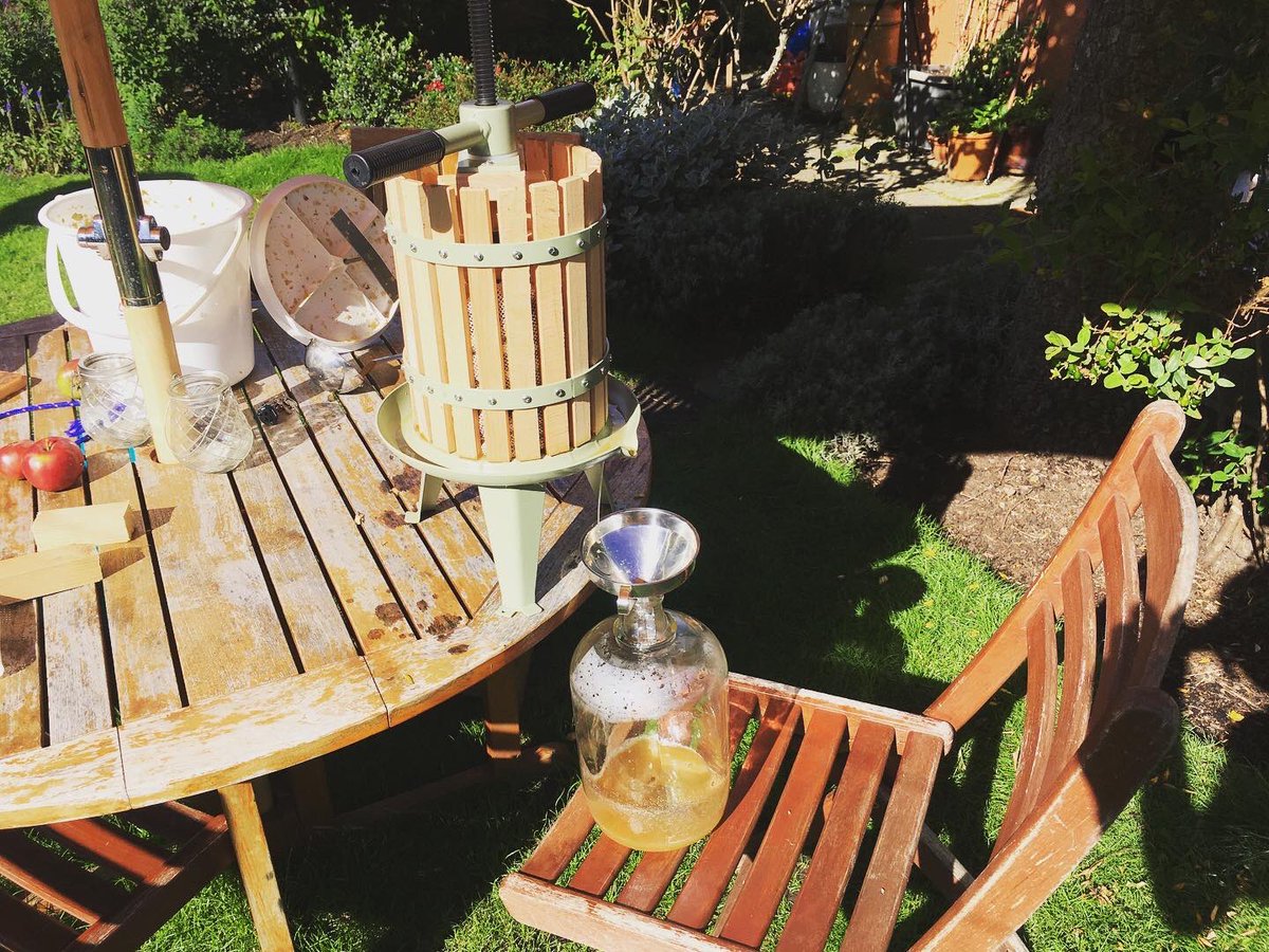 A good day to cider.... Good crop from the tree this year, a little under 5L of juice. Experimenting with just the single variety. 

And a friend with a small orchard has just offered me some picking time!

#cider #apples #gardenproduce