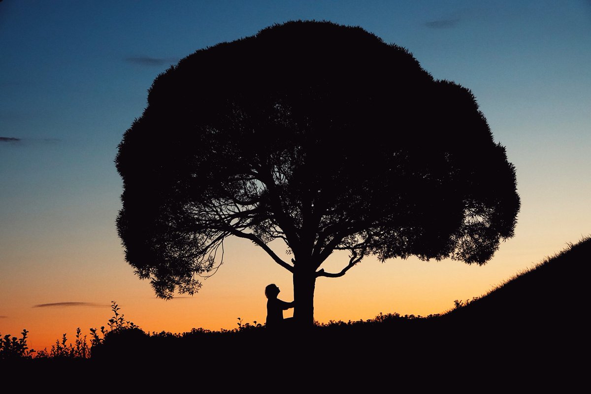 Maisemasuunnittelioiden hallituksen jäsenet ovat puunhalausviikolla jakaneet kuvia ja kertoneet lähipuumatkailuteeman mukaisesti heille tärkeistä puista. Viikon päättää yhdistyksen tiedottaja Heli Nukki.

Jaa sinäkin oma puunhalauskuvasi somessa tunnisteella #puunhalausviikko 💚