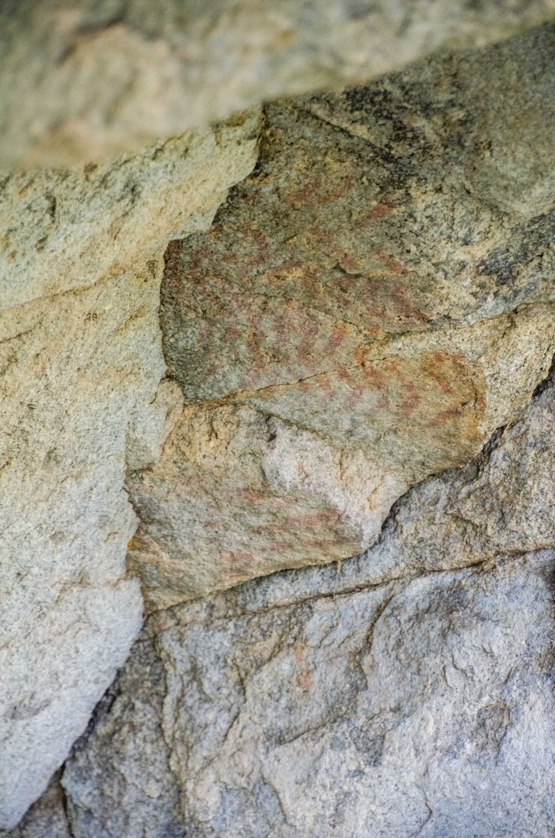 ModFam_global's tweet image. Hiking at Castle Rocks – Backyard Boulders Trail

modfam.global/best-hiking-ca…

#ModFam #ModFamGlobal