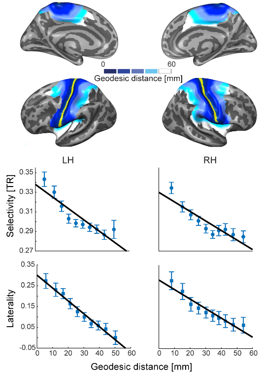cnplab's tweet photo. Streams in the cortical visual system are well known, but what about the somatosensory system? @NoamSaadon &amp; @ShaharArzy applied full-body stimulation under fMRI, quantified hierarchy measures and found evidence for 3 somatosensory hierarchical gradients. https://t.co/zGoQps5Jla https://t.co/bL4IC66xAZ