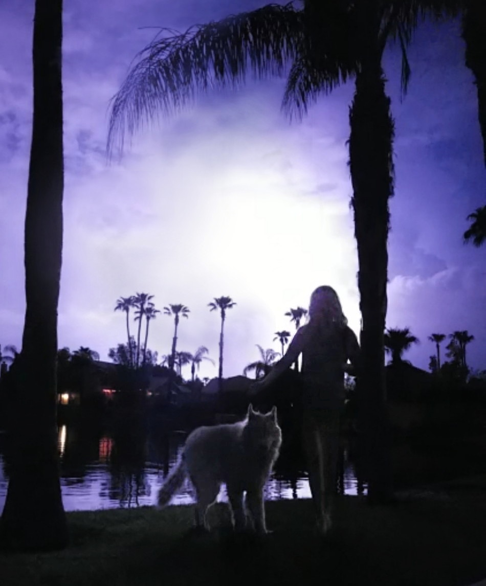 TheIrishDancer's tweet photo. I love lightening storms!
#PHXLightening #AZLightening #ArizonaLightening #Arizonastorm #Arizonastorms #PHXstorm #PHXstorms #Phoenixstorm #Phoenixlightening #Phoenixstorm #Phoenixstorms #Zeus #TheZeus #stormdog #stormwolf #lighteningdog #lighteningwolf #wolf #wolfdog #wolfhybrid https://t.co/bfR3X4SsbN