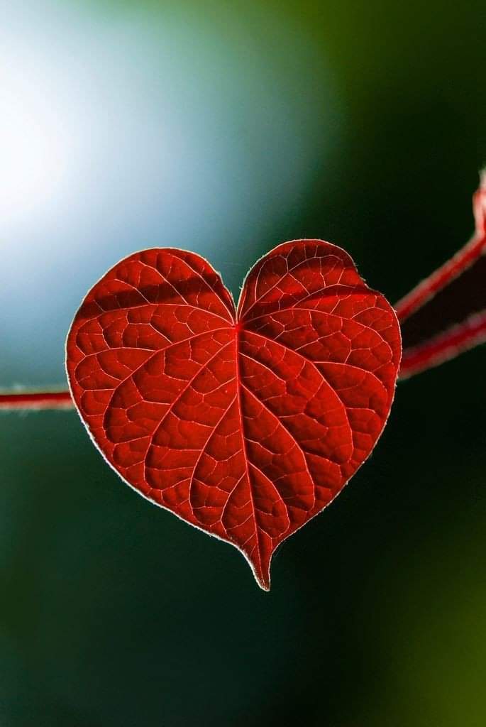 생각은
무의식적으로
머릿속에 떠오르지요

좋은 생각도
나쁜 생각도 찰라에 떠오르는데

그 생각을 흘려보내지 못하고
사로잡히면 메몰이 되고맙니다

이때 나쁜 생각은 빨리 제거하고
좋은생각은 많이 하도록하세요

처음엔 어렵지만
하다보면 습관처럼 할수있지요
좋은생각이 좋은 인생을 만들지요