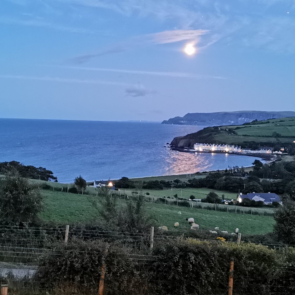 Will Young tweet media