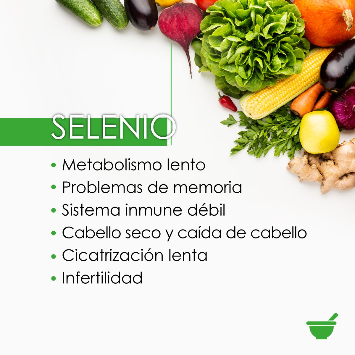 Paleolf's tweet photo. Si has sentido alguno de estos #síntomas es hora de suplementarte, ingresa en el link de nuestra bio y te asesoraremos. Comienza a disfrutar de los beneficios de la naturaleza + la tecnología, con tan solo un click
#suplementos #zimax #antioxidante https://t.co/8ReuEZtRyR