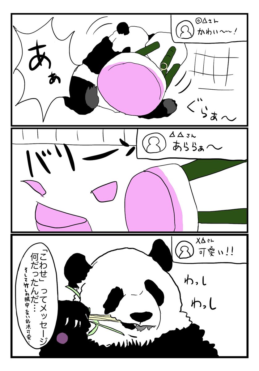 今年の夏の思い出 