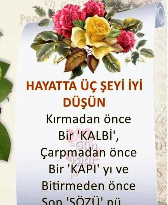 güldal balcı (@gldalbalc1) on Twitter photo 