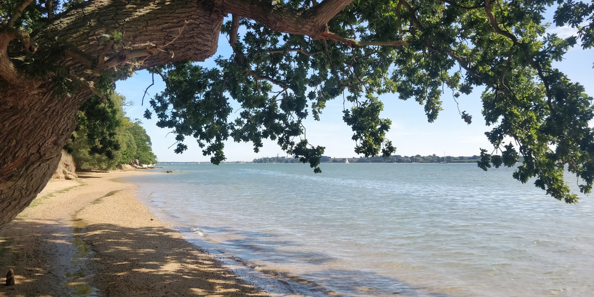 promarinestore's tweet photo. A perfect flatwater beach to enjoy our SeaGo inflatable SUPs. 

UPDATE: We are in receipt of new stock for the 2020 Glide and Freeride inflatable SUPs, and are offering them at a discounted rate of 10% and free next-day shipping  until the end of August.  discount code SUMMERFUN https://t.co/KomQHtxDdg