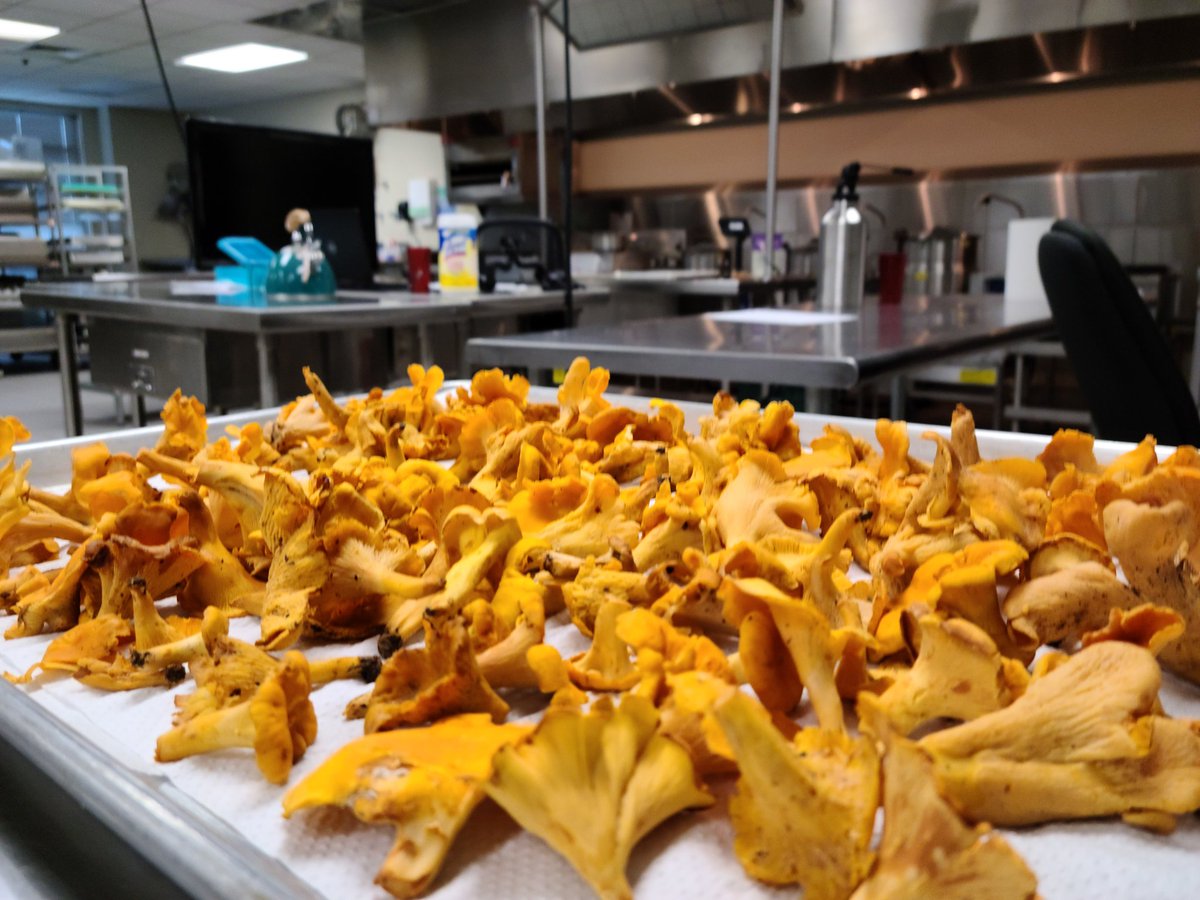 Christopher Webber tweet media