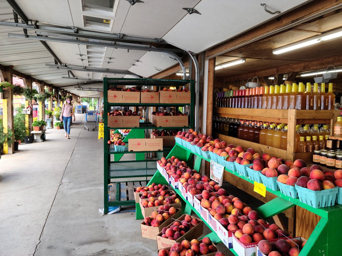 Christopher Webber tweet media