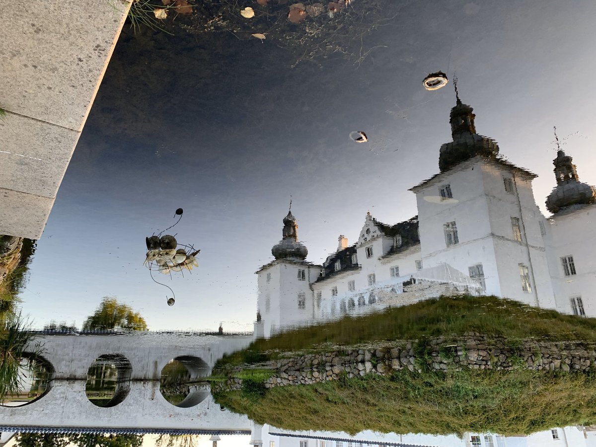 BrandXDM's tweet photo. Upside down photo. https://t.co/6saJGU1j2o