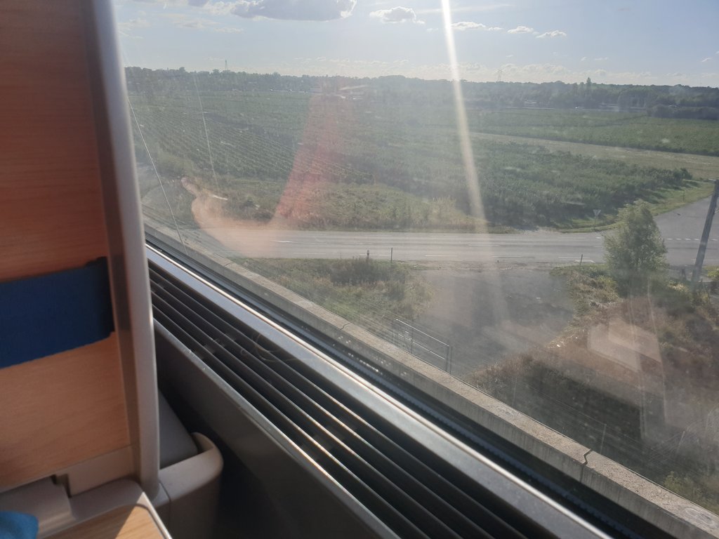 15 minutes après Bordeaux, notre coeur flanche quand le TGV ralentit en rase campagne et s'arrête. Les voyageurs ont des rites nerveux, laissent s'échapper des cris de colère, font des pronostics, et oublieux de tout, tombent parfois les masques avant de les remettre promptement.