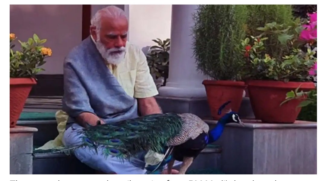 ManishKhedkar4's tweet photo. Modiji be like:- mai pehle national bird ke sath khelunga..
🤣🤣🤣🤣
@narendramodi https://t.co/Ht8GqSkNxp