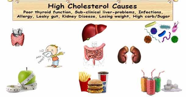 Doctors generally treat #HighCholesterol with #CholesterolMedications; rarely, some treat based on #CholesterolCause. healthy-ojas.com/cholesterol/ch…