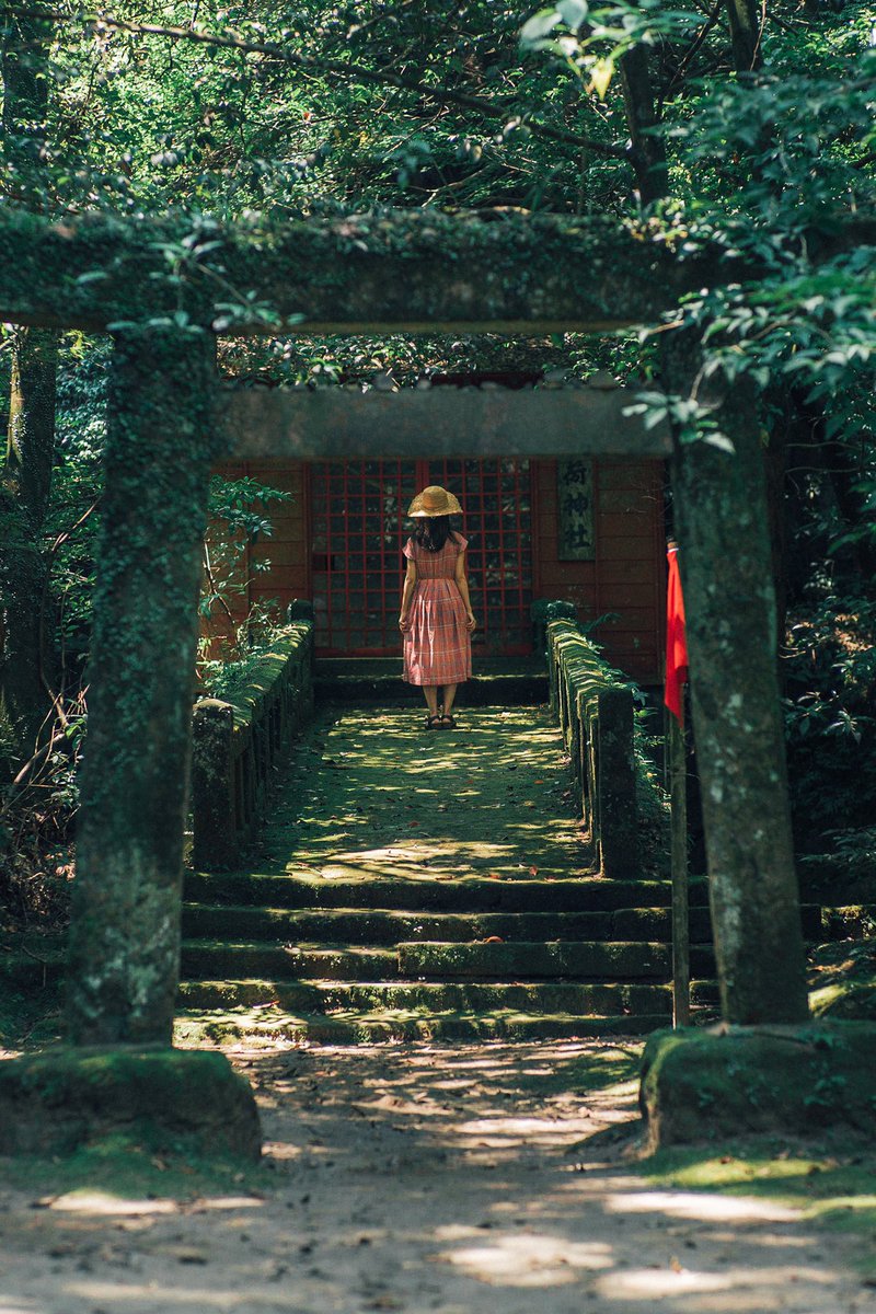 鹿児島でジブリとかのアニメに出てきそうな田舎の景色やポートレートを撮ってますお願いしますマジで

 #とりあえずRTしてフォローしてくださいほんとお願いしますいやマジで