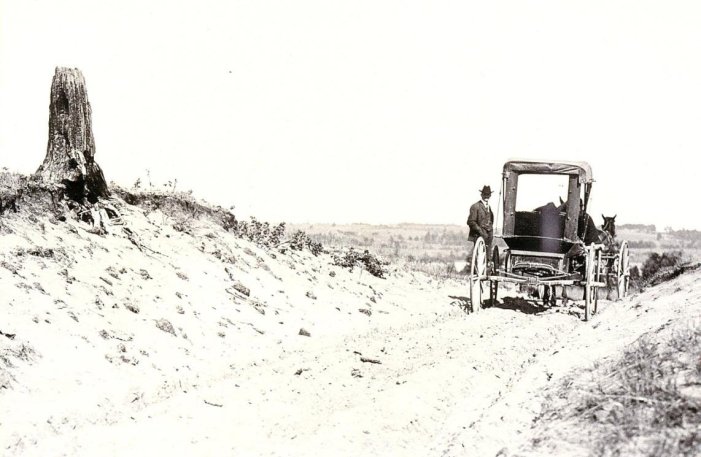 Photo from1906 taken by E.J. Zavitz, this area was known as the Oro Lake Wasteland as it was a literal desert. The land was literally too sandy to support any agriculture & the homesteads were deserted. People in history recall the night skies were red from the slash and burn.