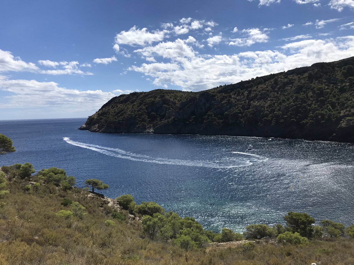 tramuntana49's tweet photo. Carreres de motos a cala Canadell, sota #CapNorfeu Qui protegeix el #ParcNaturaldelCapdeCreus, @parcscat @agentsruralscat ? https://t.co/cxyA4PUUG1